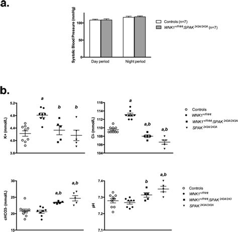 spak hctm|Consequences of SPAK inactivation on Hyperkalemic .